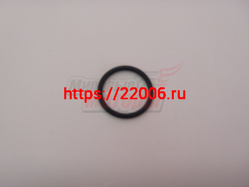 Прокладка канала маслянного насоса кольцо (481H-1002037)