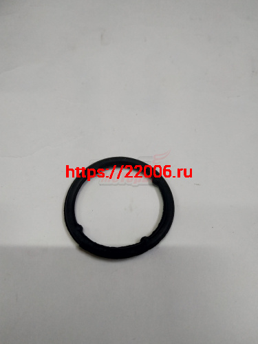 Прокладка насоса водяного QQ (3721307015) Прокладка насоса водяного QQ (3721307015)