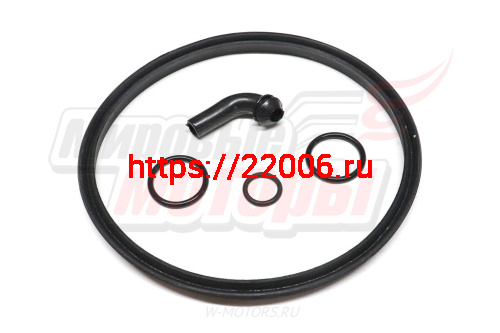 Ремкомплект энергоаккумулятора заднего моста HOWO (RK-WG9100360303) фото 2