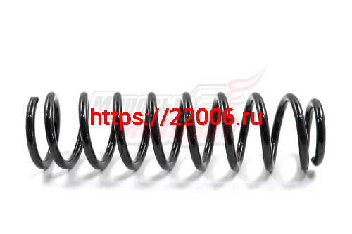 Пружина задней подвески Fora (A21-2912011AC) Пружина задней подвески Fora (A21-2912011AC)