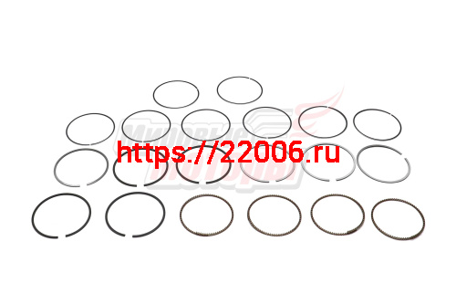 Кольца поршневые 0.25 1.6-1.8 Fora.Tiggo. M11 (481H-1004030BA) Кольца поршневые 0.25 1.6-1.8 Fora.Tiggo. M11 (481H-1004030BA)