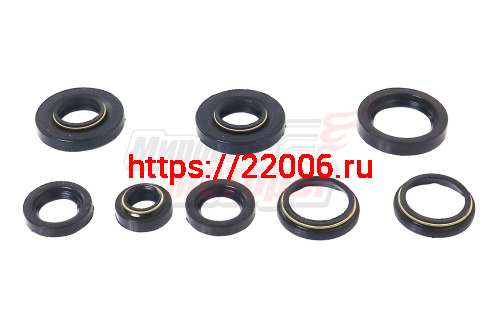 Набор сальников Пл Россия (завод)