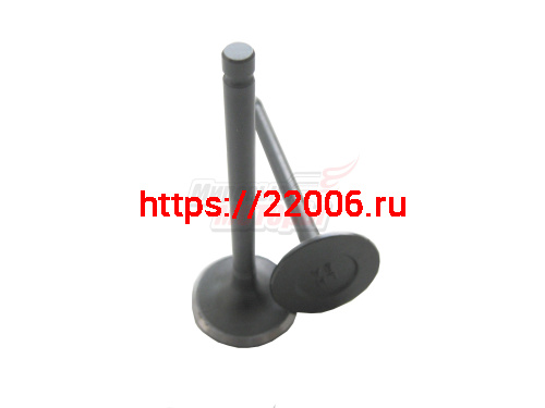 Клапан впускной 1.3 LF BREEZ, SMILY (LF479Q1-1007012A) Клапан впускной 1.3 LF BREEZ, SMILY (LF479Q1-1007012A)