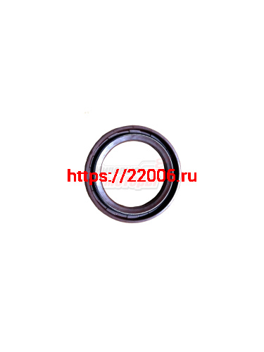 Сальник распредвала BREEZ 1.3/1.6, SOLANO, SMILY, X50 (LF479Q11006011A) Сальник распредвала BREEZ 1.3/1.6, SOLANO, SMILY, X50 (LF479Q11006011A)