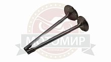Клапан впускной/выпускной СG250 167FMM (CGB250) ADVENTURE250  (22020027+22020028) (НАБОР)
