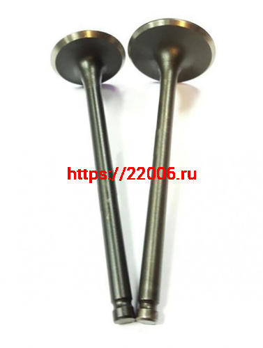 Клапана ГБЦ 166FMM TTR250 (CB250) впускной 31,5, выпускной 27(2 шт) Клапана ГБЦ 166FMM TTR250 (CB250) впускной 31,5, выпускной 27(2 шт)